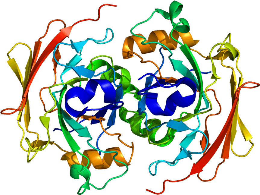 Synthetic Enzyme Food Preservation Illustration